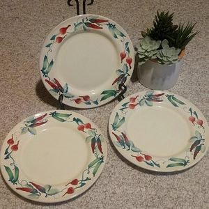 Eddie Bauer Plates
